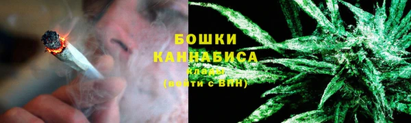 spice Осинники