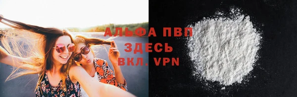 индика Пересвет