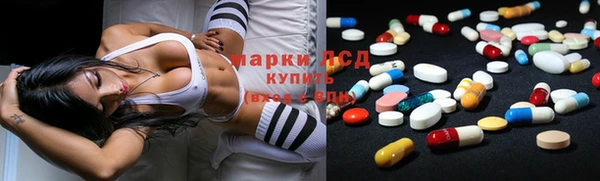 индика Пересвет