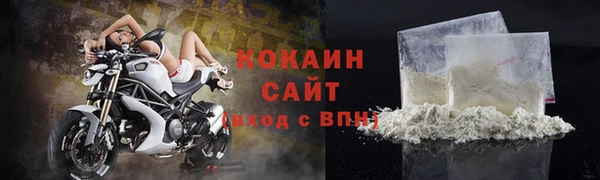соль ск Пестово