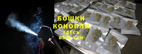 spice Осинники