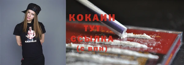 spice Осинники