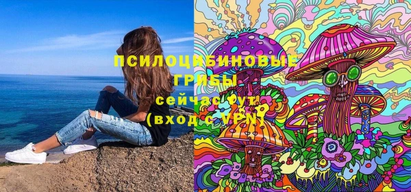 spice Осинники