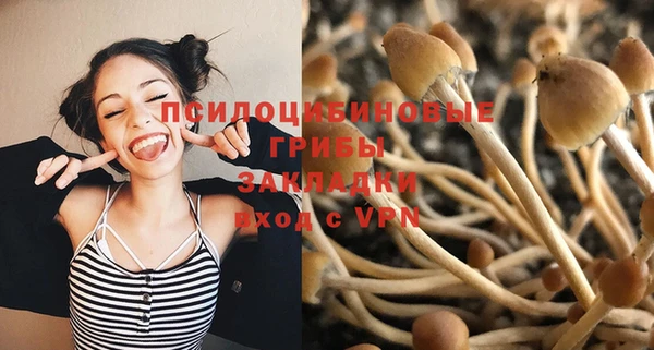 spice Осинники