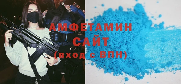 индика Пересвет